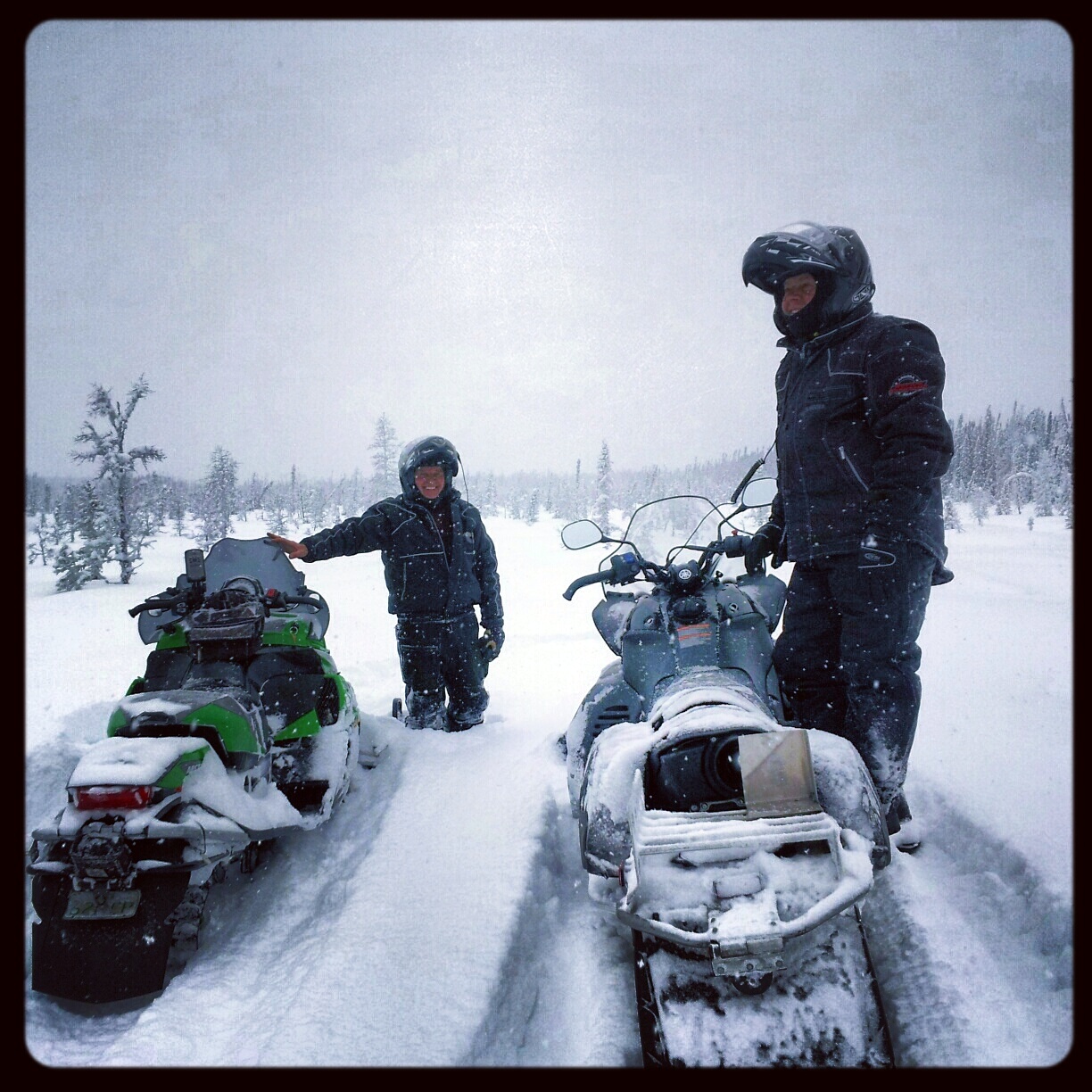 Peter Kirychuk Weyakwin Lake Sask This photo was taken in a meadow