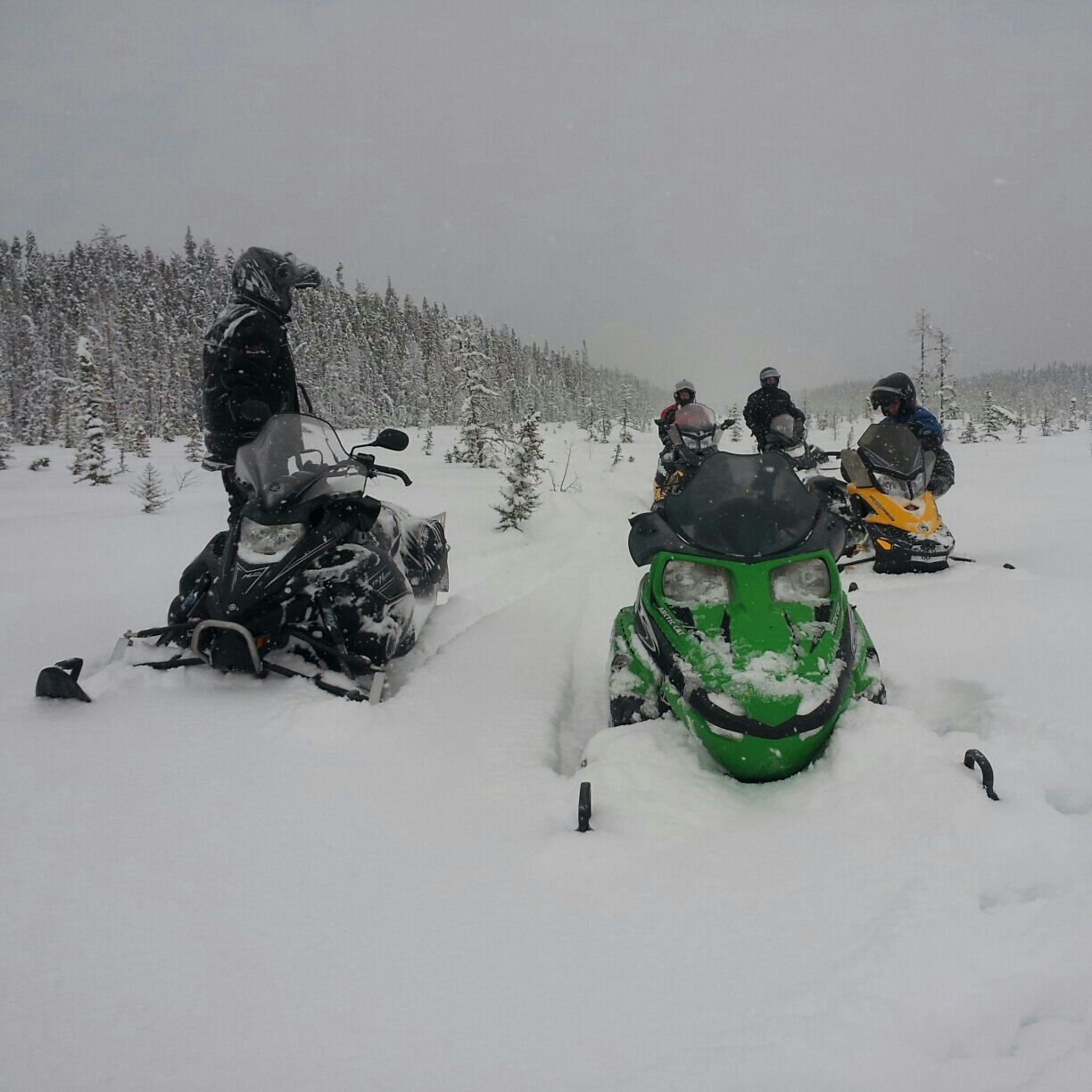 Peter Kirychuk Weyakwin Lake Sask Another photo in the boreal
